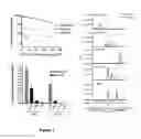 Fig. 02 - Compositions and methods for treating celiac sprue disease