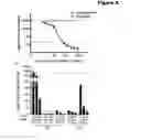 Fig. 05 - Compositions and methods for treating celiac sprue disease