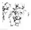 Fig. 05 - COAGULATION FACTOR VII POLYPEPTIDES