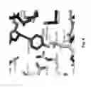 Fig. 06 - COAGULATION FACTOR VII POLYPEPTIDES