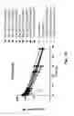 Fig. 12 - COAGULATION FACTOR VII POLYPEPTIDES