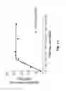 Fig. 13 - COAGULATION FACTOR VII POLYPEPTIDES