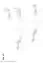 Fig. 16 - COAGULATION FACTOR VII POLYPEPTIDES