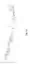 Fig. 17 - COAGULATION FACTOR VII POLYPEPTIDES