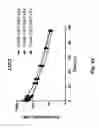 Fig. 18 - COAGULATION FACTOR VII POLYPEPTIDES
