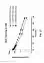 Fig. 19 - COAGULATION FACTOR VII POLYPEPTIDES