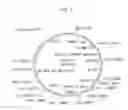 Fig. 02 - Surface anchored light chain bait antibody display system