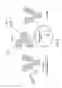 Fig. 03 - Surface anchored light chain bait antibody display system