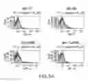 Fig. 04 - Surface anchored light chain bait antibody display system