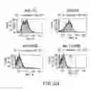 Fig. 05 - Surface anchored light chain bait antibody display system