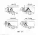 Fig. 06 - Surface anchored light chain bait antibody display system
