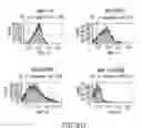 Fig. 07 - Surface anchored light chain bait antibody display system