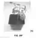 Fig. 24 - METHODS FOR CONTROLLING PESTS USING RNAi