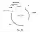 Fig. 12 - Optimal soybean loci