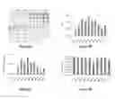 Fig. 08 - OPTIMIZATION OF DETERMINANTS FOR SUCCESSFUL GENETIC CORRECTION OF DISEASES, MEDIATED BY HEMATOPOIETIC STEM CELLS
