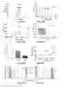 Fig. 49 - OPTIMIZATION OF DETERMINANTS FOR SUCCESSFUL GENETIC CORRECTION OF DISEASES, MEDIATED BY HEMATOPOIETIC STEM CELLS