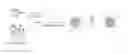 Fig. 01 - Targeted lipid particles for systemic delivery of nucleic acid molecules to leukocytes