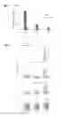 Fig. 06 - Targeted lipid particles for systemic delivery of nucleic acid molecules to leukocytes