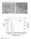Fig. 04 - NANOPARTICLE BIOHYBRID COMPLEXES