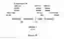 Fig. 32 - Electron consuming ethanol production pathway to displace glycerol formation in 