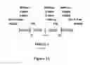 Fig. 33 - Electron consuming ethanol production pathway to displace glycerol formation in 