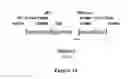 Fig. 35 - Electron consuming ethanol production pathway to displace glycerol formation in 