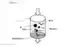 Fig. 03 - Immobilized poly(n)polymerase