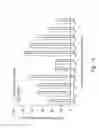 Fig. 09 - Automatic microfluidic system for antibiotic susceptibility testing and method of operating thereof
