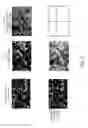 Fig. 04 - Enhanced utilization of surface primers in clusters