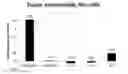 Fig. 01 - Nucleic acid modifying agents and uses thereof