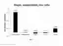 Fig. 02 - Nucleic acid modifying agents and uses thereof