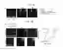 Fig. 04 - Multiplex analysis of gene expression in individual living cells
