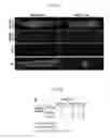Fig. 10 - Multiplex analysis of gene expression in individual living cells