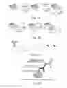Fig. 09 - Nucleic acid-polymer conjugates for bright fluorescent tags