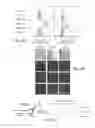 Fig. 10 - Nucleic acid-polymer conjugates for bright fluorescent tags
