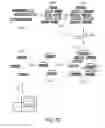 Fig. 04 - POLYNUCLEOTIDE LIBRARIES HAVING CONTROLLED STOICHIOMETRY AND SYNTHESIS THEREOF