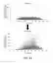 Fig. 22 - POLYNUCLEOTIDE LIBRARIES HAVING CONTROLLED STOICHIOMETRY AND SYNTHESIS THEREOF
