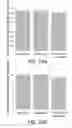 Fig. 31 - POLYNUCLEOTIDE LIBRARIES HAVING CONTROLLED STOICHIOMETRY AND SYNTHESIS THEREOF