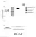 Fig. 44 - POLYNUCLEOTIDE LIBRARIES HAVING CONTROLLED STOICHIOMETRY AND SYNTHESIS THEREOF