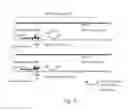 Fig. 02 - MULTIPLEXED OPTIMIZED MISMATCH AMPLIFICATION (MOMA)-REAL TIME PCR FOR ASSESSING CELL-FREE DNA
