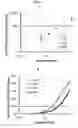Fig. 08 - METHODS FOR PREPARING DNA REFERENCE MATERIALS AND CONTROLS