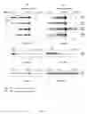 Fig. 10 - UNIVERSAL HAPLOTYPE-BASED NONINVASIVE PRENATAL TESTING FOR SINGLE GENE DISEASES