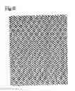 Fig. 07 - Industrial two-layer fabric