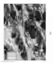 Fig. 05 - Process for forming a nonwoven composite
