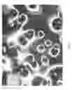 Fig. 06 - Process for forming a nonwoven composite