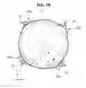 Fig. 09 - Washing machine