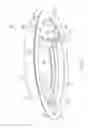 Fig. 03 - Manhole cover assembly