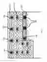 Fig. 14 - Energy saving pool cleaning system with partial rotating pool cleaning head with multiple nozzle openings
