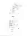 Fig. 08 - ASEISMIC DEVICE
