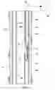 Fig. 02 - Chemical injection valve with enhanced sealing capability